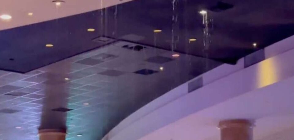 Untitled design (11) Tyson Project