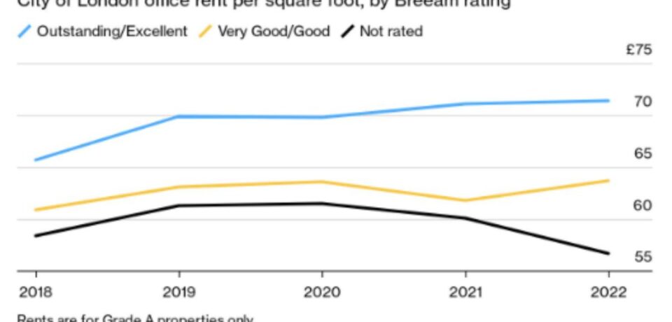 Untitled design (15) Tyson Project