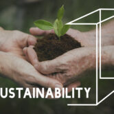 Planting Trees Nature Environment Save World Ecology Word Graphi Sustainable development