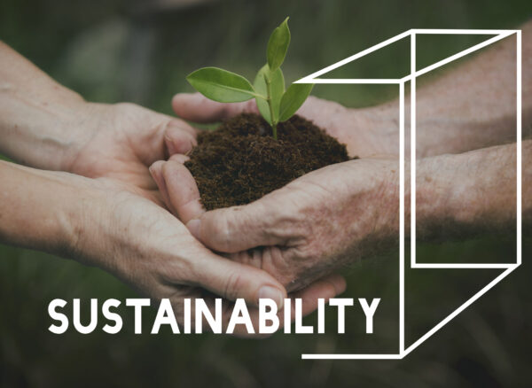 Planting Trees Nature Environment Save World Ecology Word Graphi Sustainable development